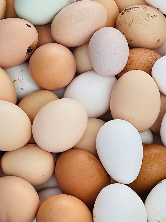 Qu'est-ce que le cholestérol ?